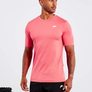 Coral Gym Sport Workout T-Shirt